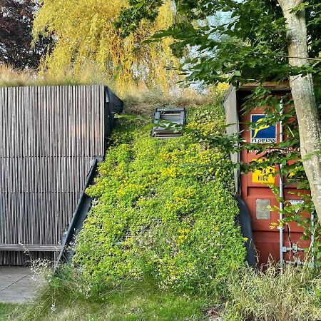 Tiny-House Van Zeecontainers Bij Het Bos Oranjewoud Exteriör bild